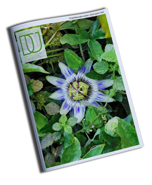 Dabasi Ujsag 2025 04 kicsi