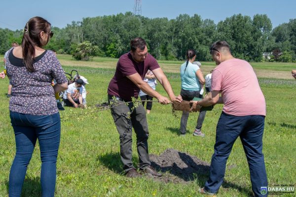 Újszülöttek köszöntése és ligete