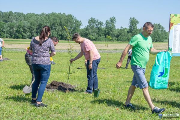 Újszülöttek köszöntése és ligete