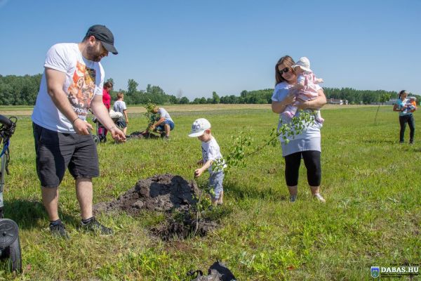 Újszülöttek köszöntése és ligete