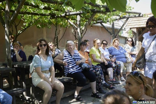 Szomszédolás Köztisztviselők Napján