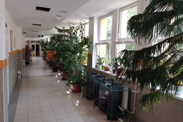 Érdi SZC Kossuth Zsuzsanna Szakképző Iskolája és Kollégiuma