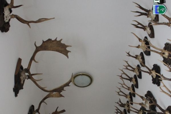 Halász Szántó Emlékszoba