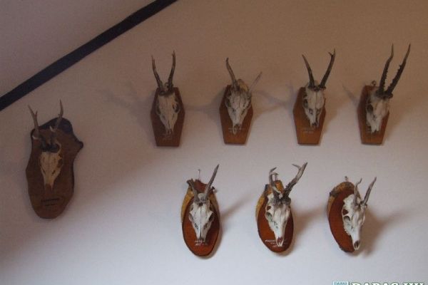 Velikovszki Pál Emlékszoba