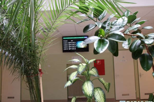 Dr. Halász Géza Szakorvosi Rendelőintézet