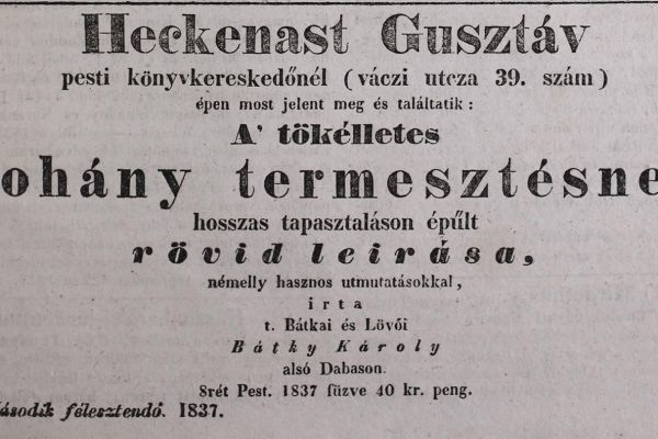 Bátky Károly (1794-1859) pályájának dabasi vonatkozásai