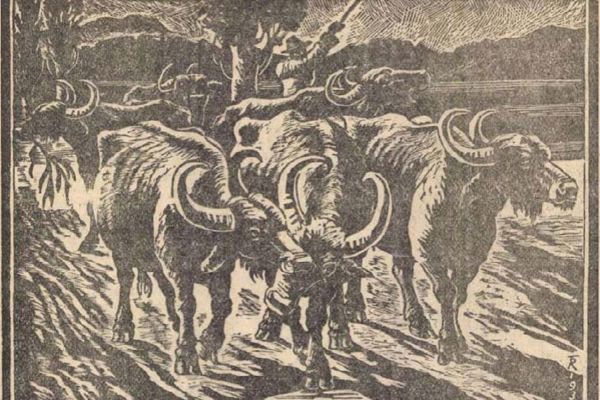 Székely József pályájának agrárgazdasági vonatkozásai