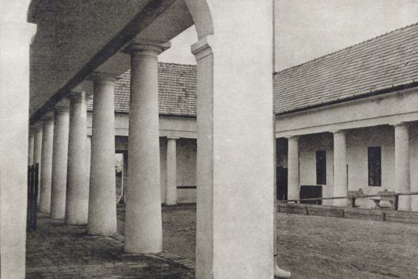 A „Dabas műemléki és városképi vizsgálata” című 1954-ben készített és sokszorosított kézirat