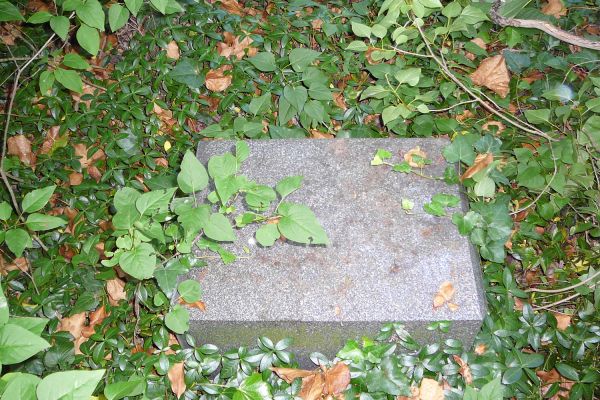 Tornóczi Lázár Zsigmond 184849-es hadnagy életútjának dabasi vonatkozásai