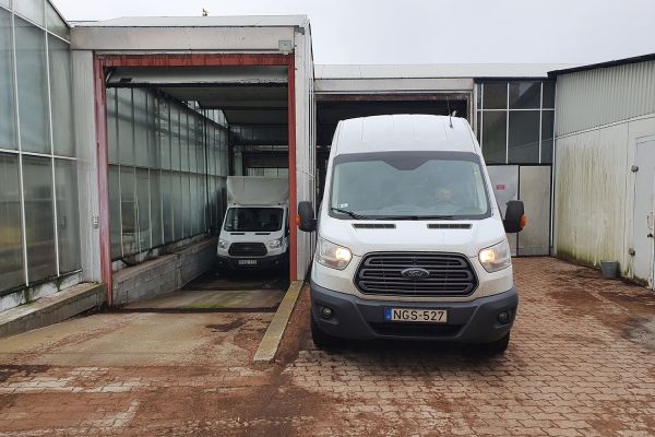 Az Eke Liliom Kertészet üvegházi vágott liliomai