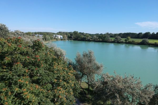 A tó és környéke