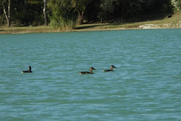 A tó és környéke