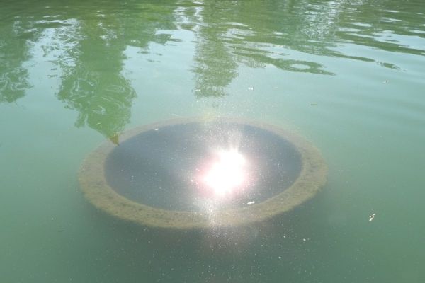 A tó és környéke