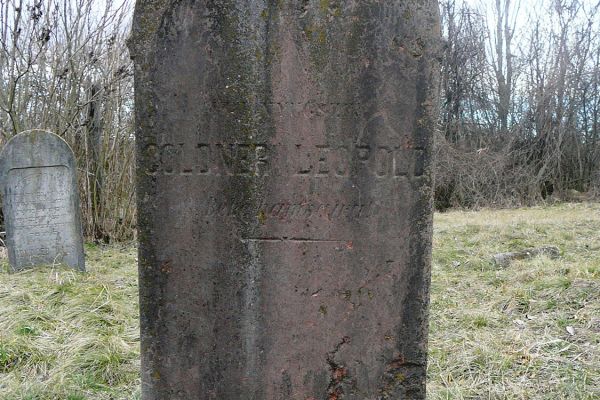 Dr. Gárdi Jenő (Felső-Dabas, 1886. – Kaufering, 1945.) életútja, különös tekintettel dabasi vonatkozásaira