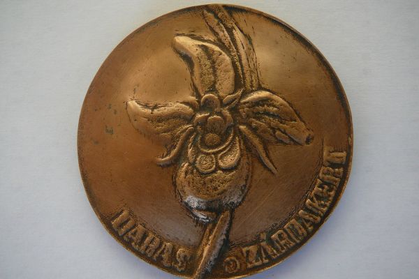 Címervirágunk, a szarvasbangó