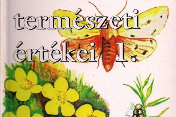 A Metelka-medvelepke