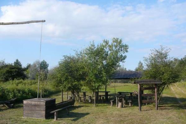 A pusztavacsi erdőgazdaság vaditatója