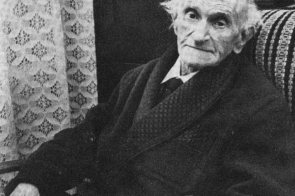 Falu Tamás irodalmi munkássága