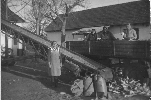 Szepsy Boldizsár gazdatiszti tevékenysége