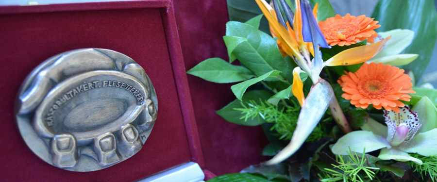 A Szociális Munka Napja 