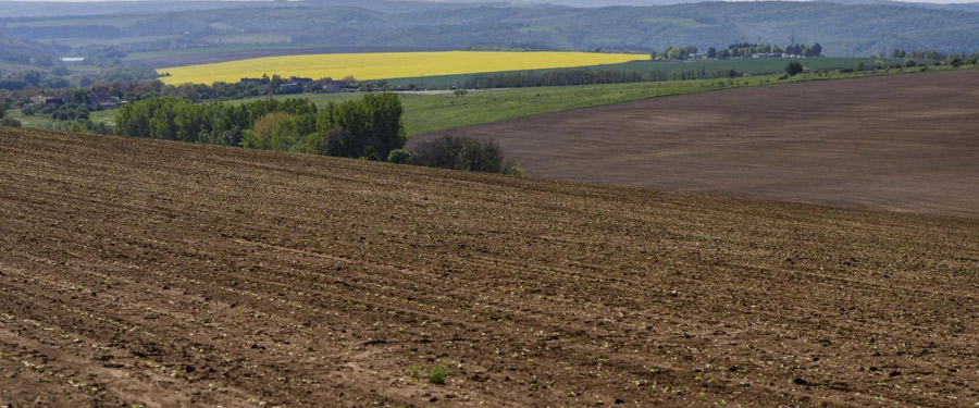 Agrárminisztérium hirdetménye