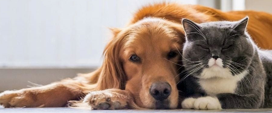 IVARTALANÍTÁSI AKCIÓ!