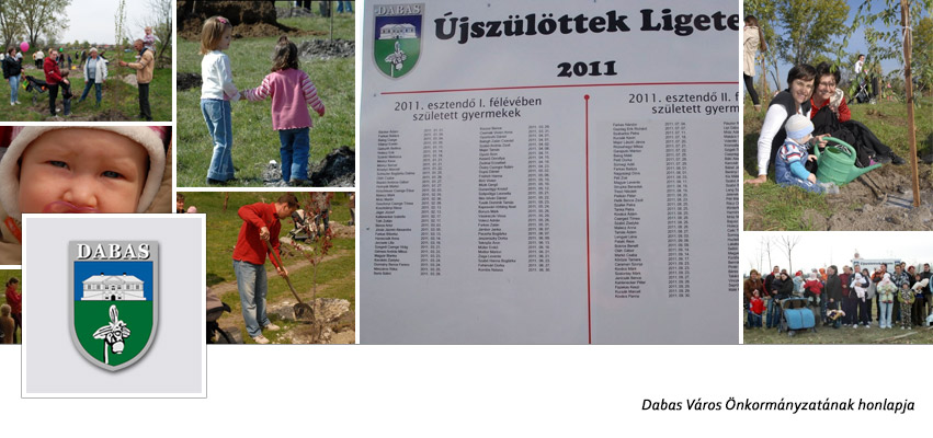 Összesítet statisztikai adatok