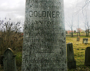 Dr. Gárdi Jenő (Felső-Dabas, 1886. – Kaufering, 1945.) életútja