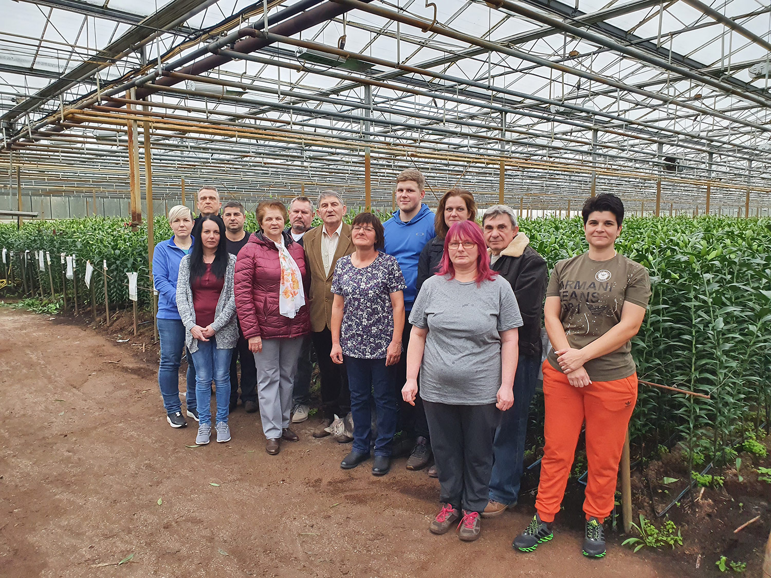 Az Eke Liliom Kertészet üvegházi vágott liliomai