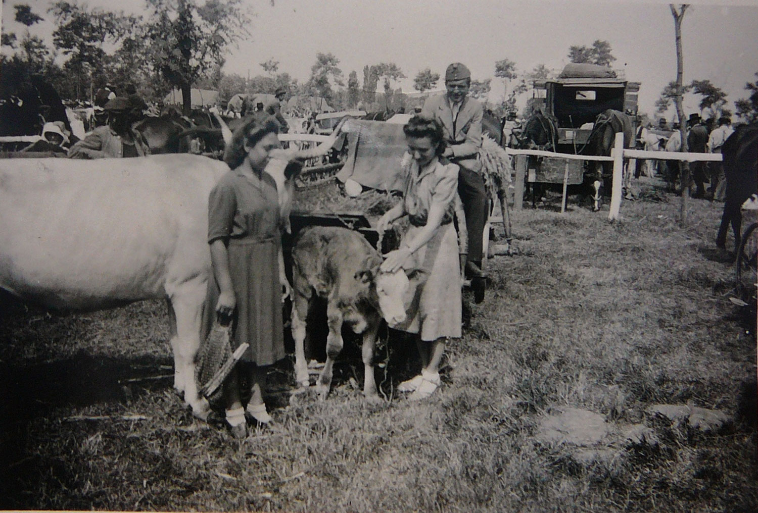 A felsődabasi vásár